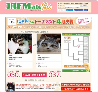 JAF Mate Park
